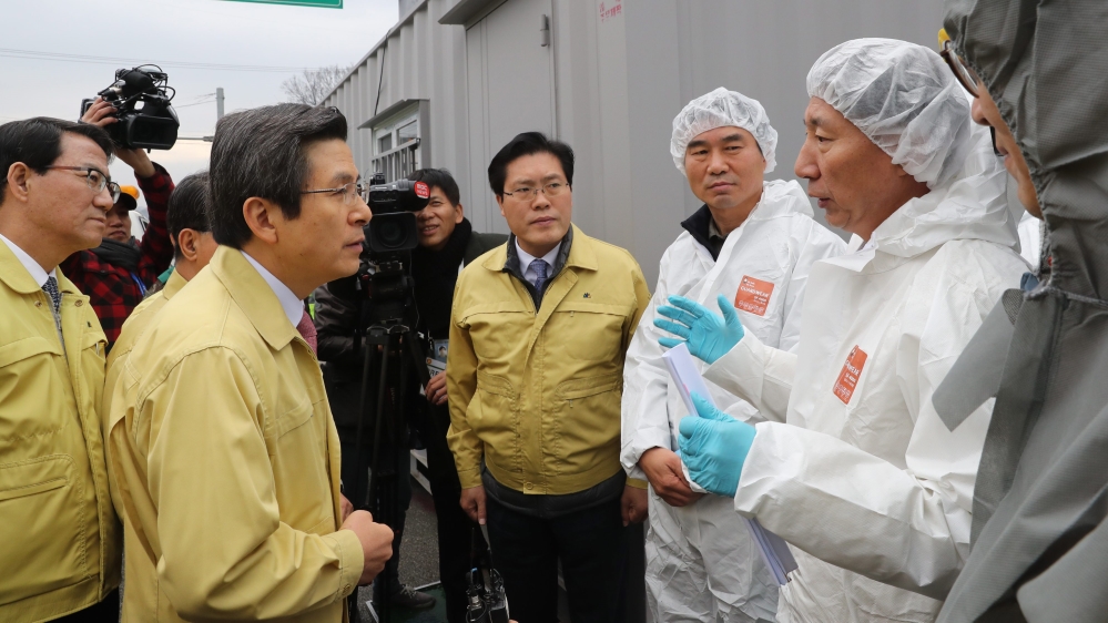 South Korea's current outbreak is caused by the H5N6 strain of bird flu [EPA]