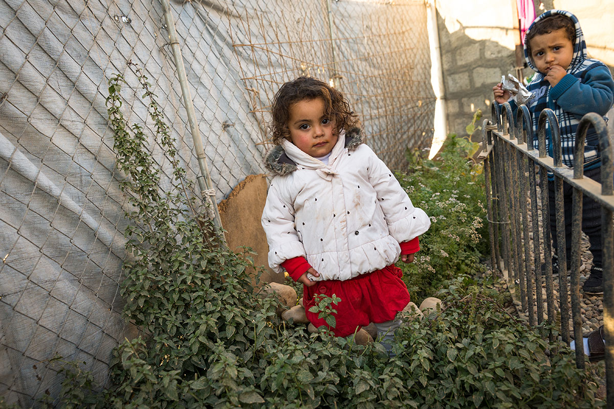 The forgotten generations of Palestinians / Please Do Not Use