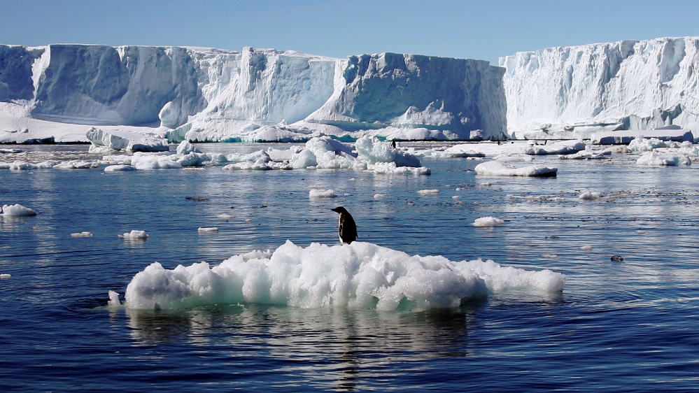 File photo of an Adelie penguin standing atop a block of melting ice