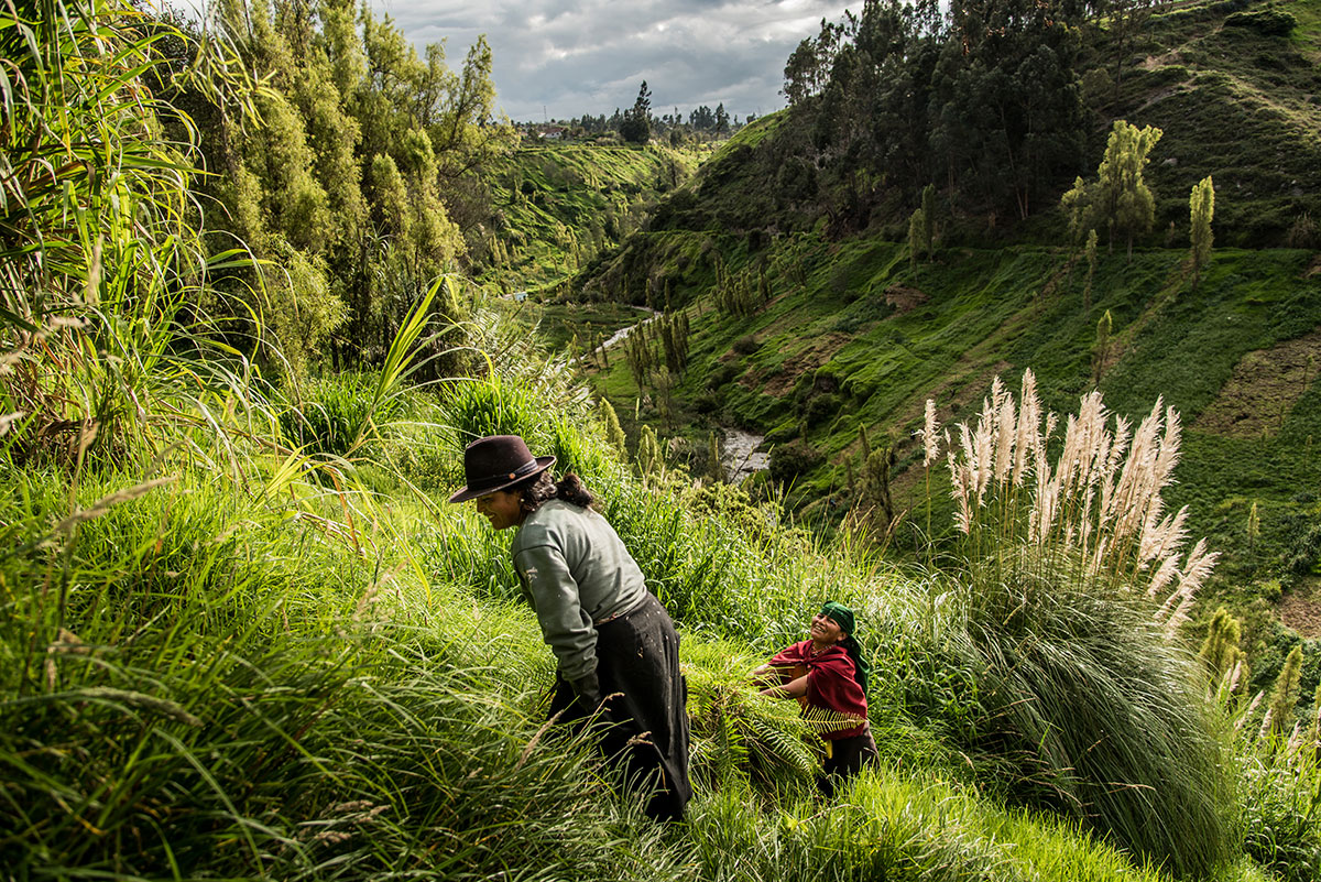 On Women’s Shoulders/ Please Do Not Use