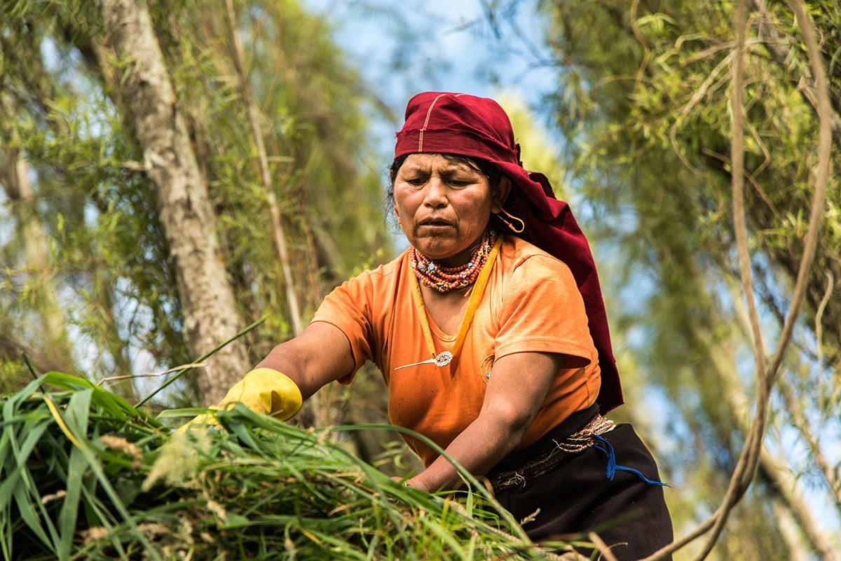 On Women’s Shoulders/ Please Do Not Use