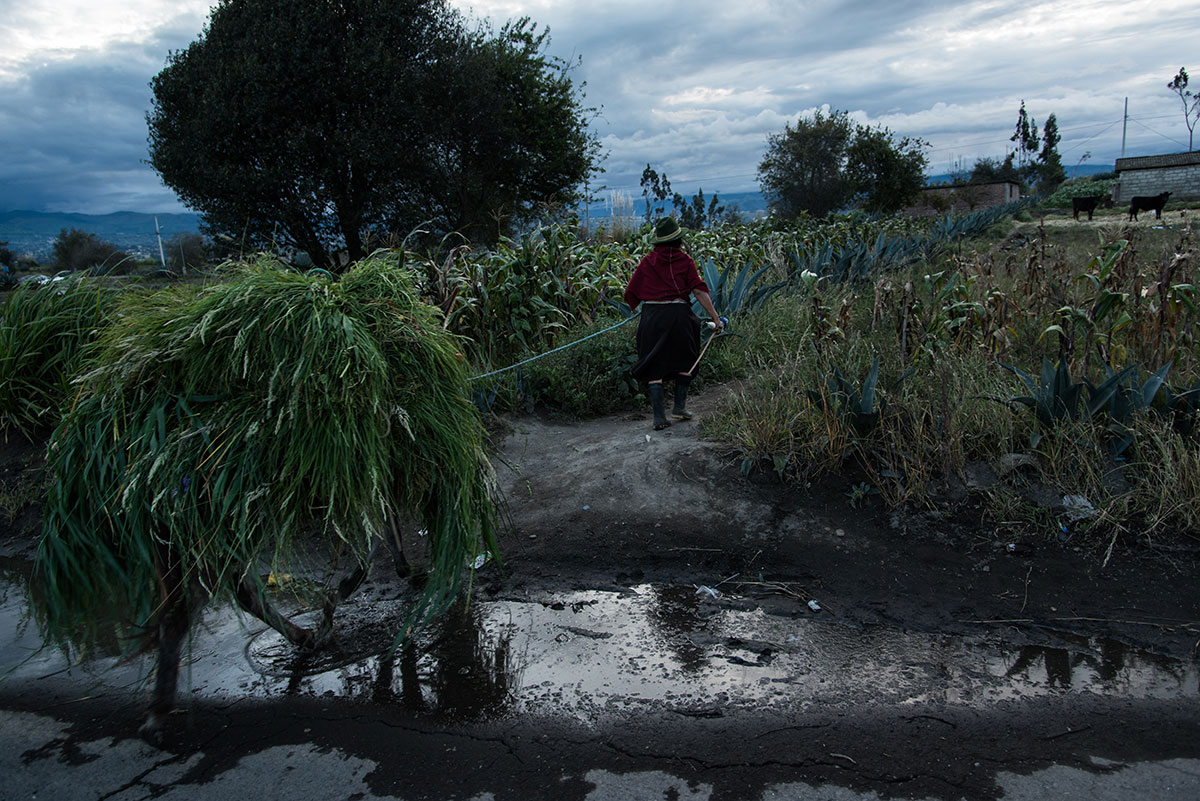 On Women’s Shoulders/ Please Do Not Use