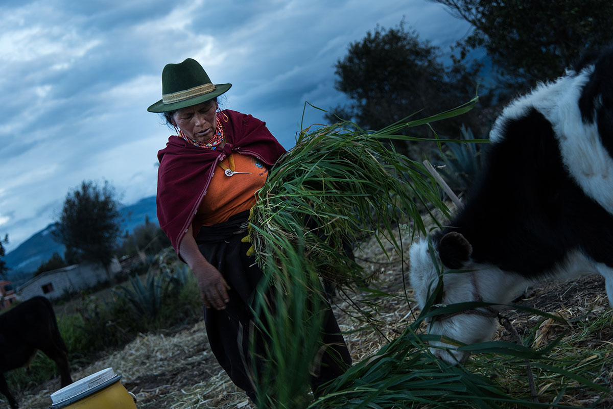 On Women’s Shoulders/ Please Do Not Use