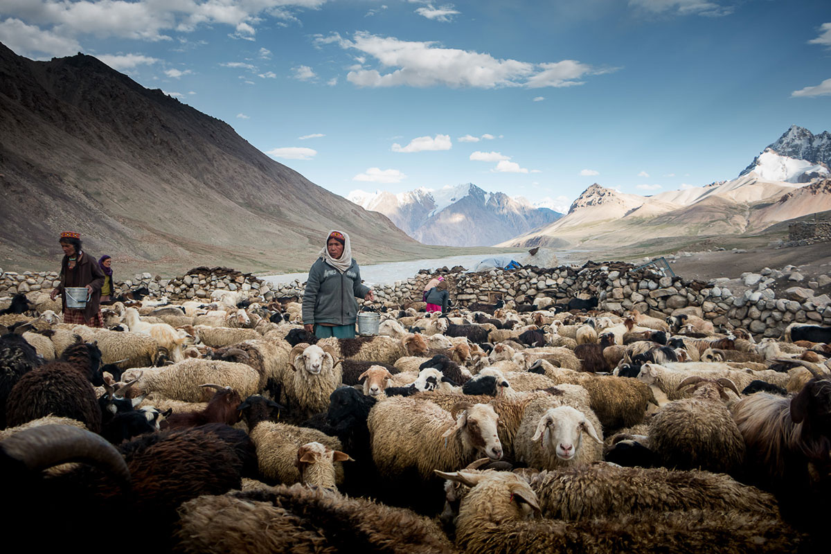The last shepherdesses of Pamir, Pakistan/ Please DO Not Use