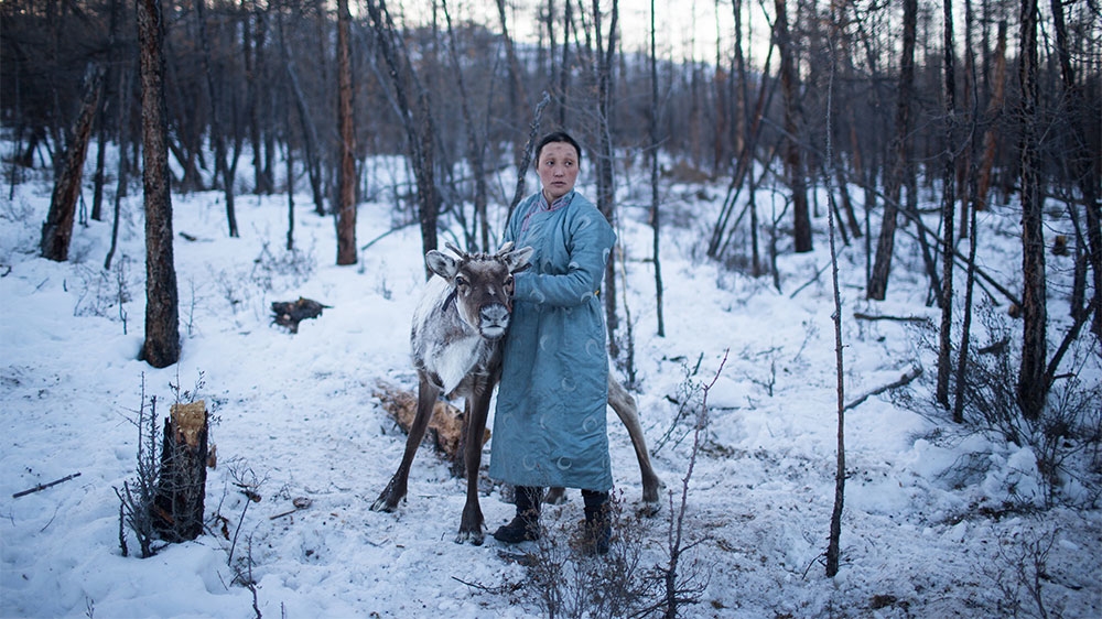 Reindeer herders in northern Mongolia