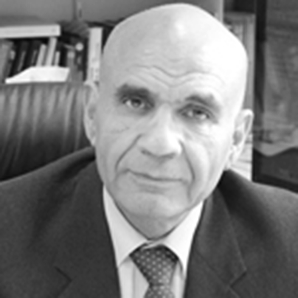 Amin Saikal