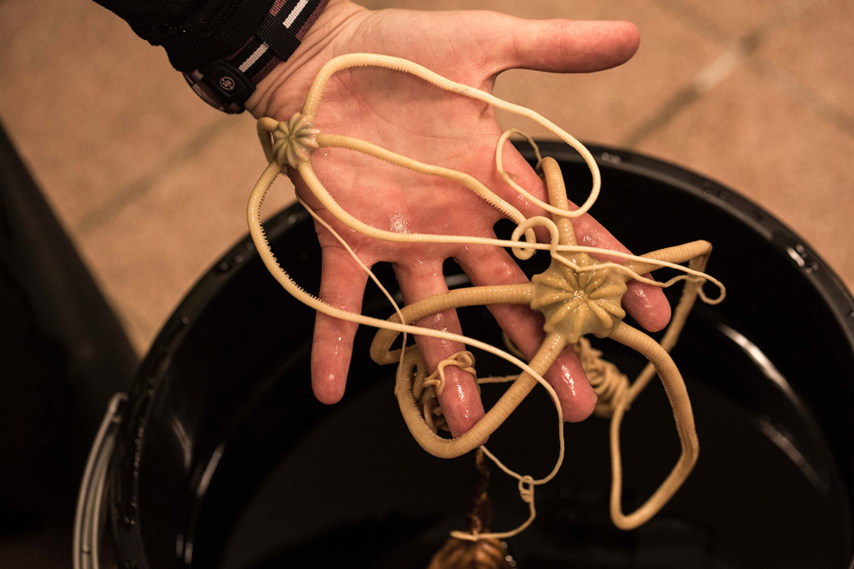 Antarctica Image Gallery