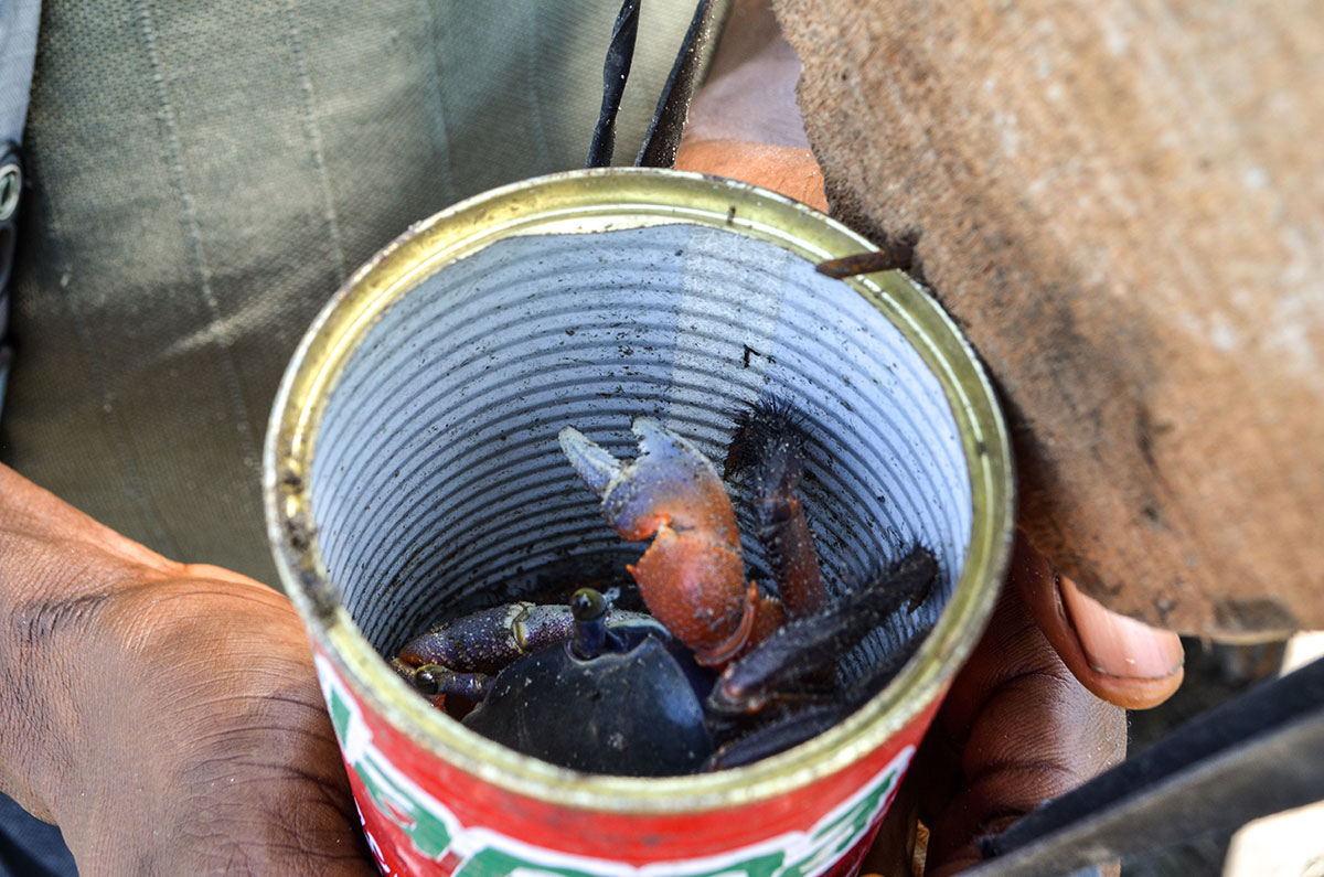 Bodo Village, Nigeria / Please DO Not Use