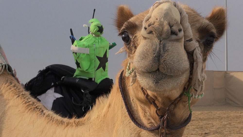 Camel Face