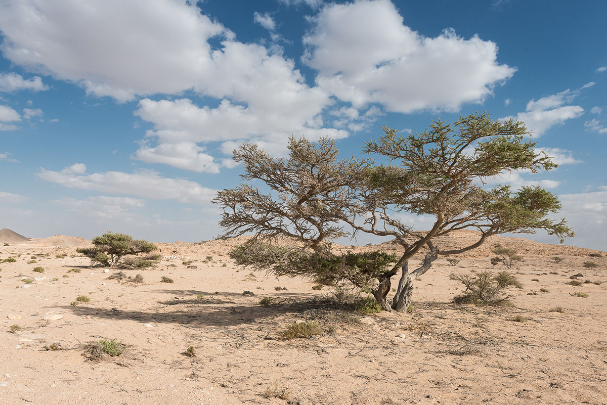 Despite turmoil in the surrounding region, tourism in Oman has witnessed steady growth, according to state officials and local guides. WOJTEK ARCISZEWSKI/AL JAZEERA