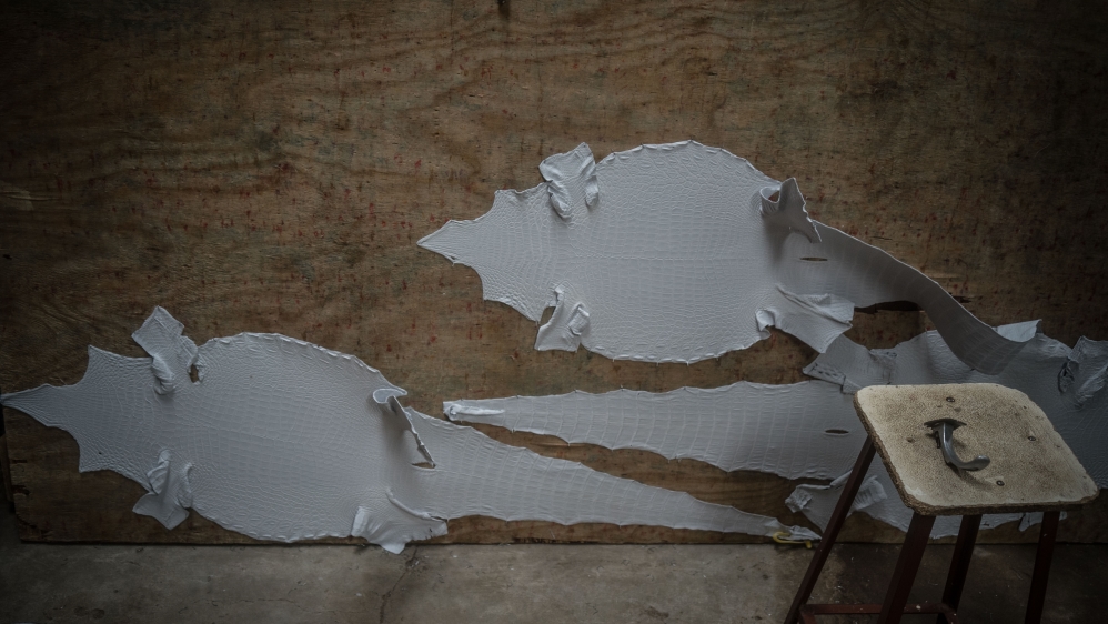 Most of Zimbabwe's reptile products are exported to the US [Al Jazeera]