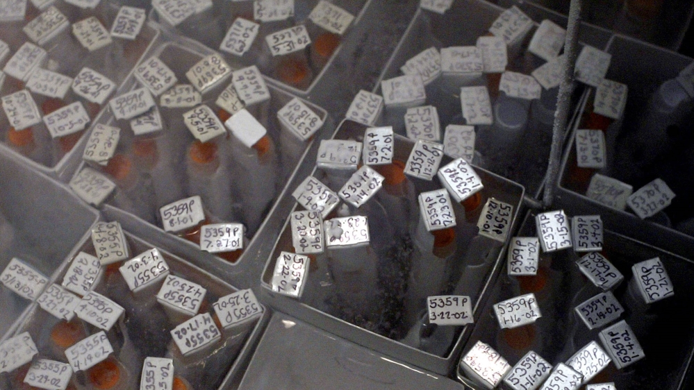 Sperm Bank - op-ed photo Reuters