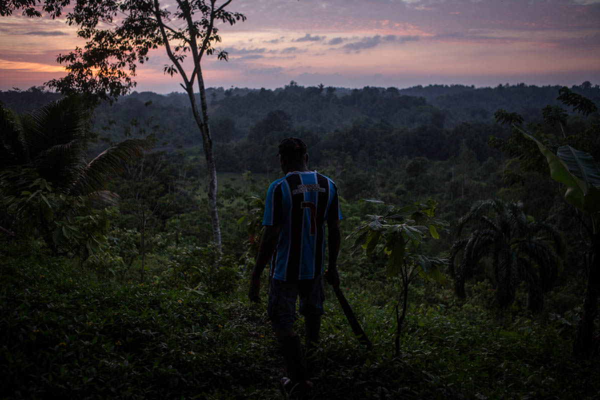 Colombia''s Coca Paradise
