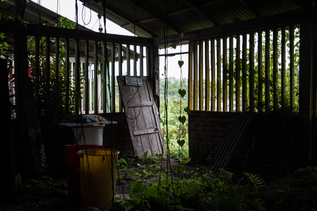 Colombia''s Coca Paradise