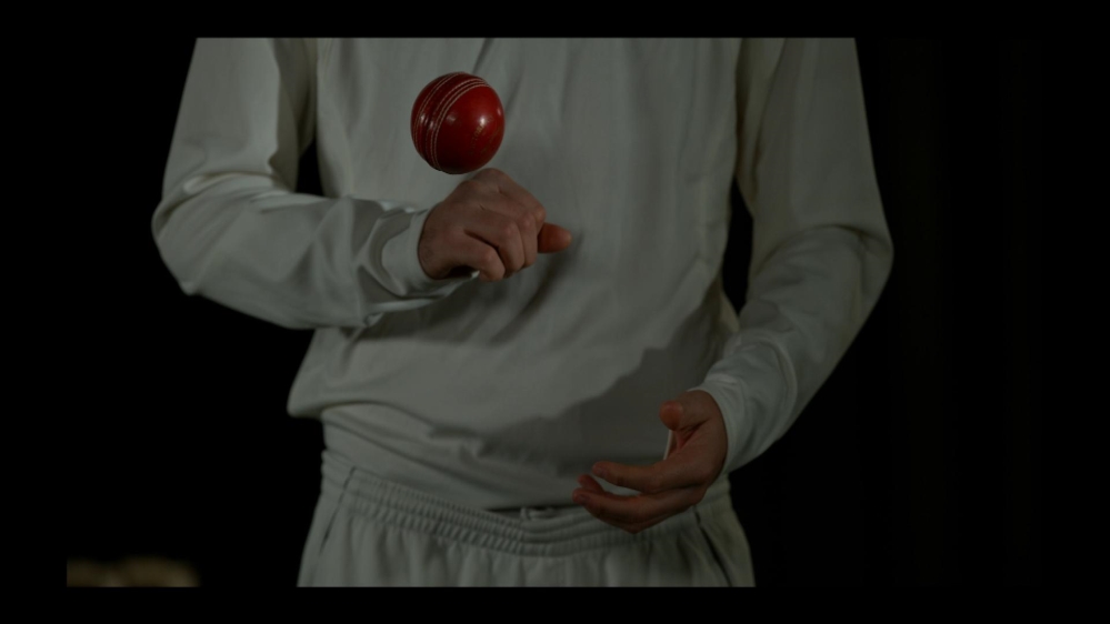 Investigations - cricket match fixing.