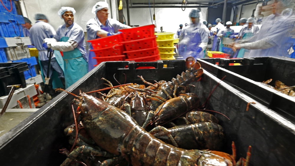 In 2017, the US exported more than $1.3bn worth of seafood to China [File: AP]