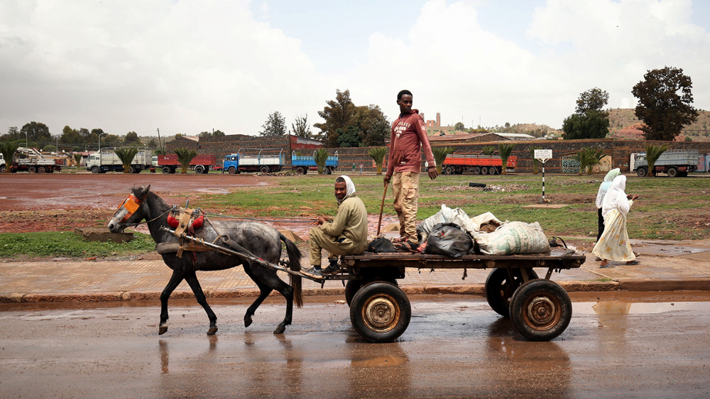 Men ride on a horse cart on the outskirts of Asmara last week [Tiksa Negeri/Reuters]