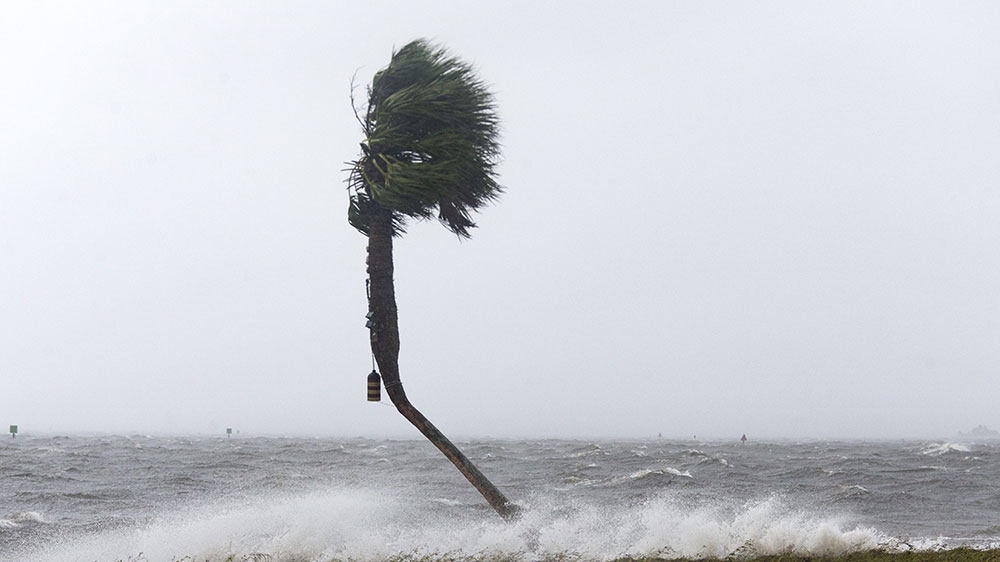 The storm surge and waves from Hurricane Michael batter the beach in the Florida Panhandle community of Shell Point Beach, Florida [Mark Wallheiser/Getty Images/AFP]
