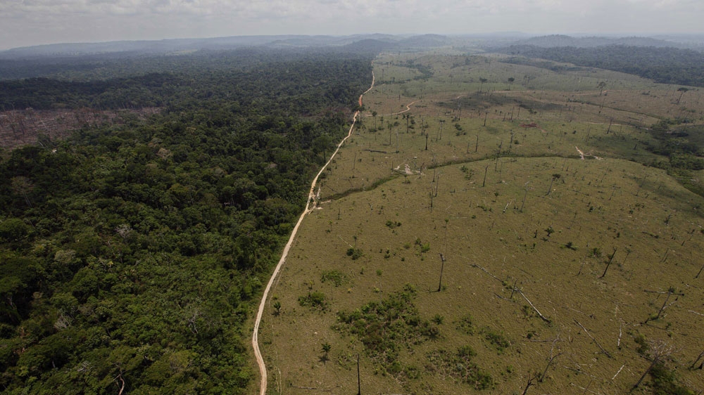 Deforested area near Novo Progresso in Brazil''s northern state of Para