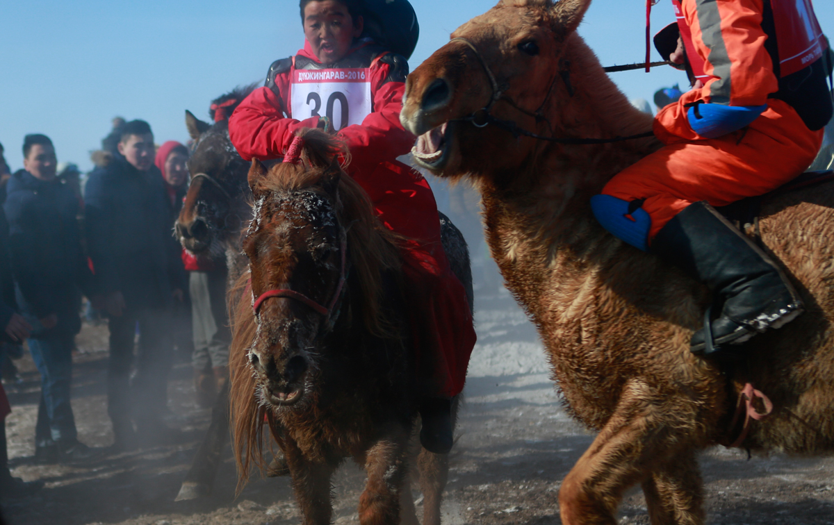 According to a UNICEF study, horse racing does more than physical damage to child jockeys. Their training schedule can keep them out of school and away from their families, leading to adverse psycholo