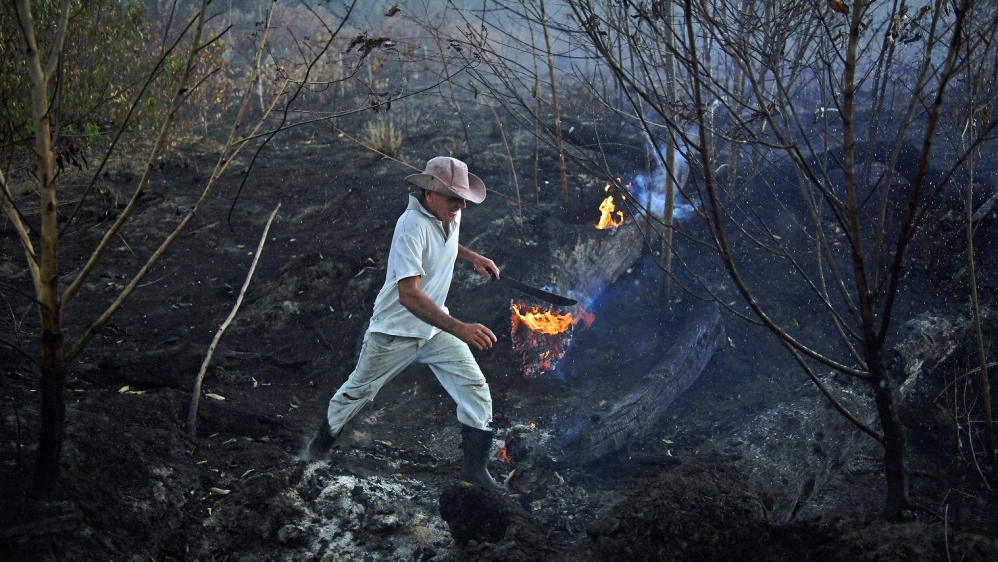 A Brazilian farmer is seen at a burned area of the Amazon rainforest, near Porto Velho, Rondonia state, Brazil