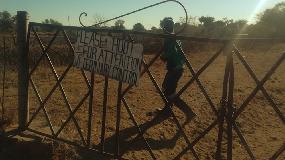 Gate at the former tobacco farmer, Shandu Gumede’s farm in Nyamandlovu, Umguza District, in Matabeleland North Province, Zimbabwe, now reportedly leasing to a cattle farmer