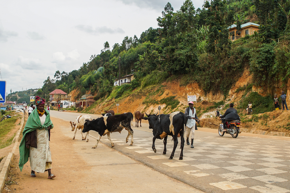 Uganda women cross border traders [Alice McCool/Al Jazeera]