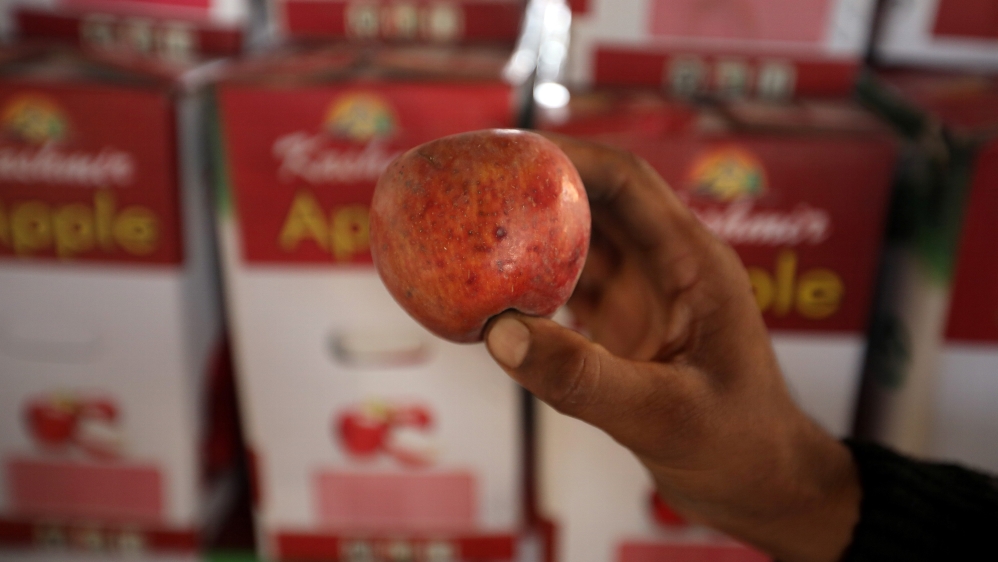A worker displays a rotten apple at a warehouse, in Sopore, north Kashmir, September 13, 2019