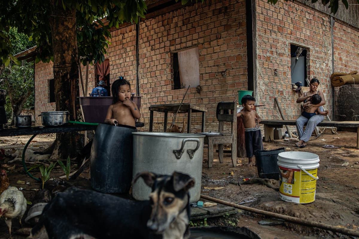 The Brazilian Amazon Rainforest