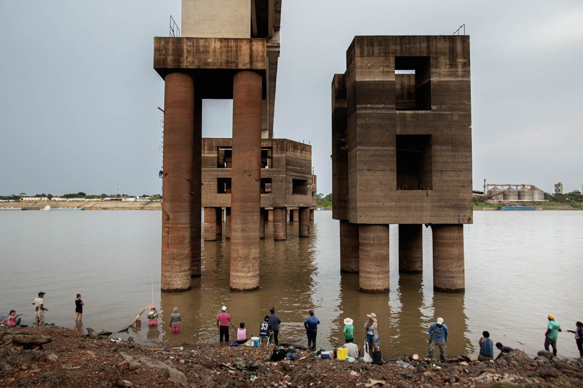 The Brazilian Amazon Rainforest