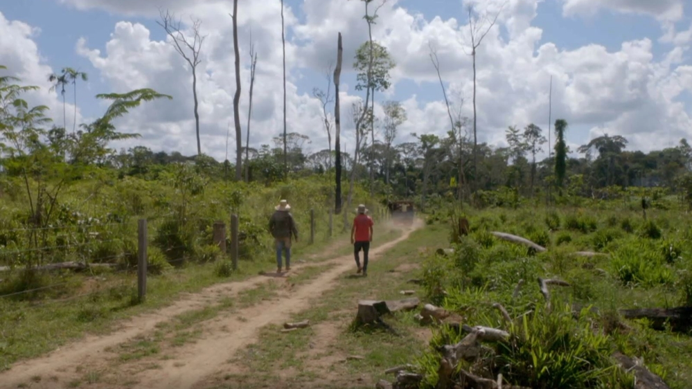 Whose Truth Is It Anyway - Brazil: In the Age of Bolsonaro - DO NOT USE