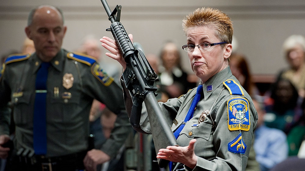 Bushmaster Sandy Hook