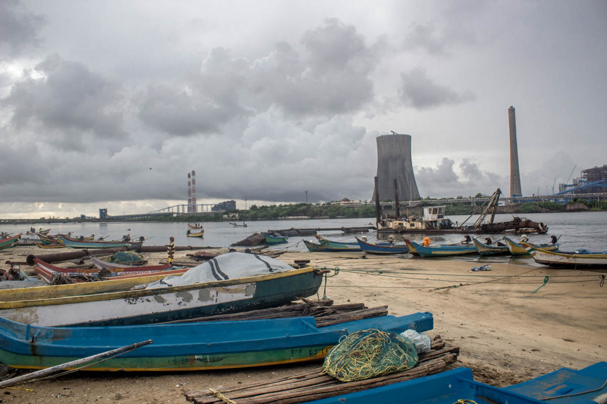 Coal ash contains heavy metals like arsenic, boron, and cadmium. Heavy metals accumulate in fish and harm their ability to reproduce. The southern wing of the National Green Tribunal (NGT) ordered the