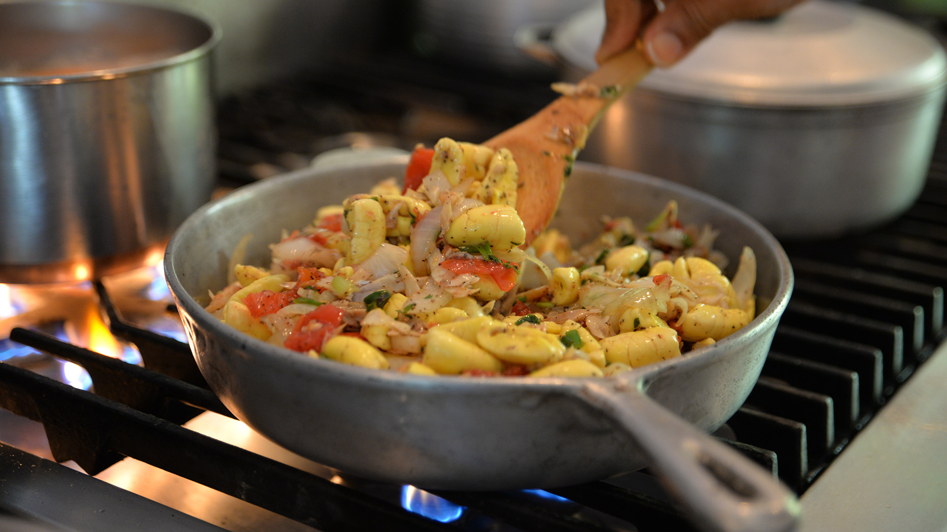 Fork The System - Ackee and Saltfish - by Summer Eldemire [DON''T USE]