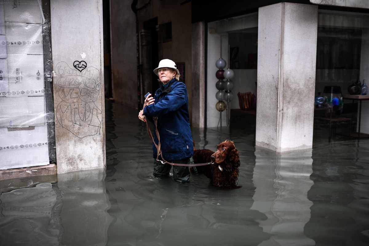 A woman walks her dog through a flooded street after an exceptional overnight "Alta Acqua" high tide water level, on November 13, 2019 in Venice. - Powerful rainstorms hit Italy on November 12, with t