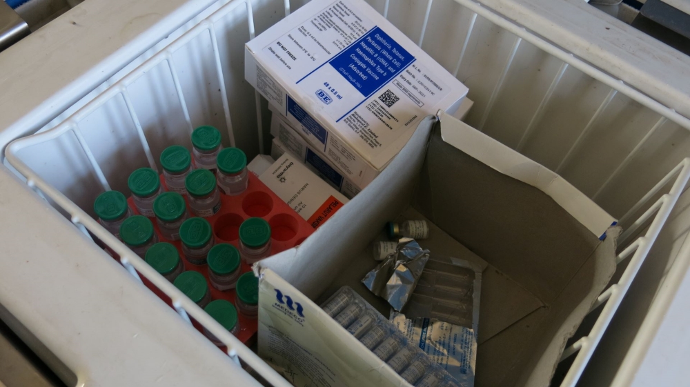 Pakistan Polio [Asad Hashim] - DO NOT USE