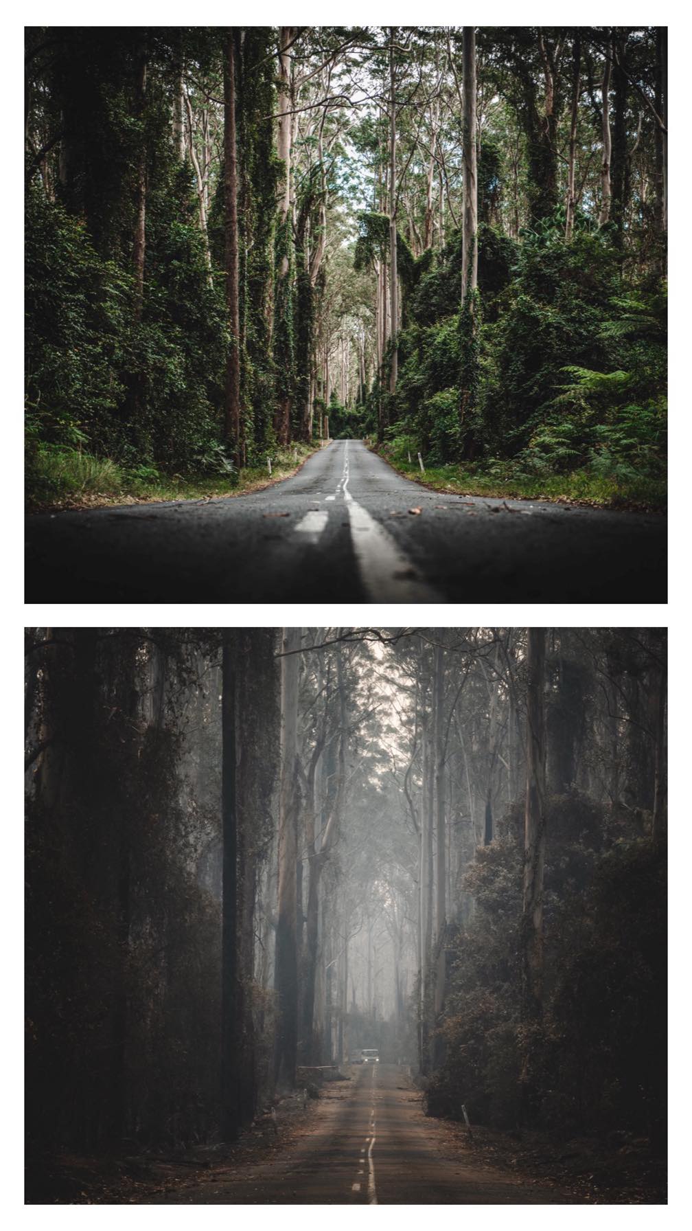 Australian mega fire  [Courtesy: Josh Burkinshaw]