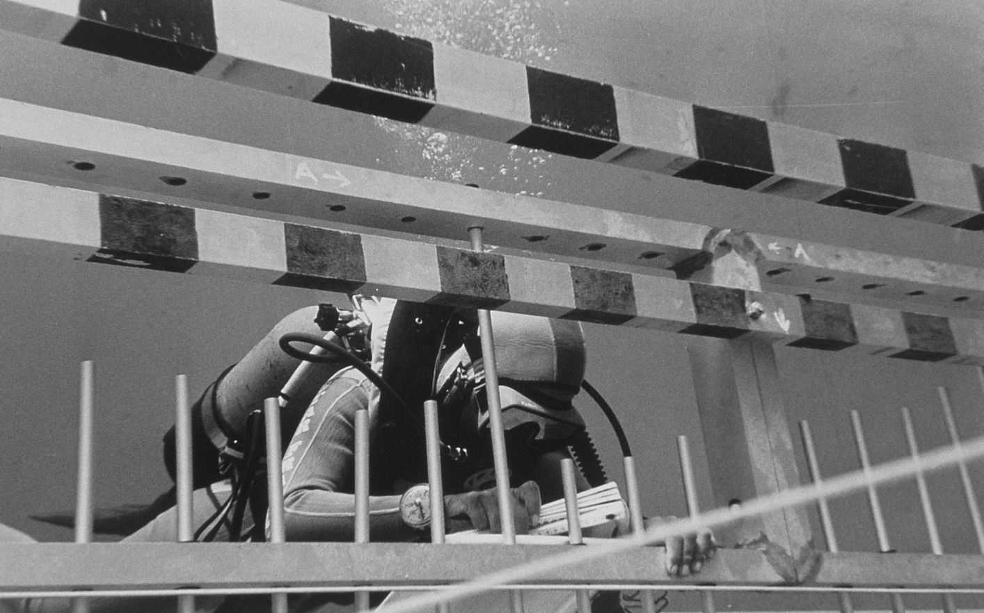 Carlos Leon - supplied