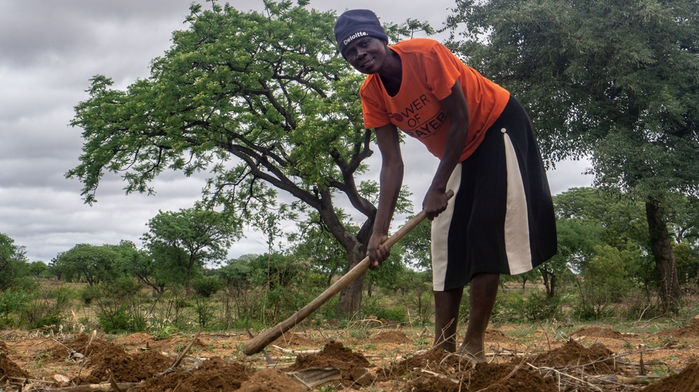 Zimbabwe food scarcity story