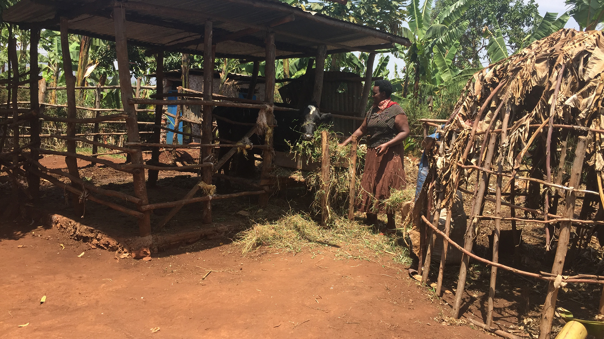 Christine Umuhoza in her backyard in Kirehe district, where she is a community health worker supporting pregnant women and infants