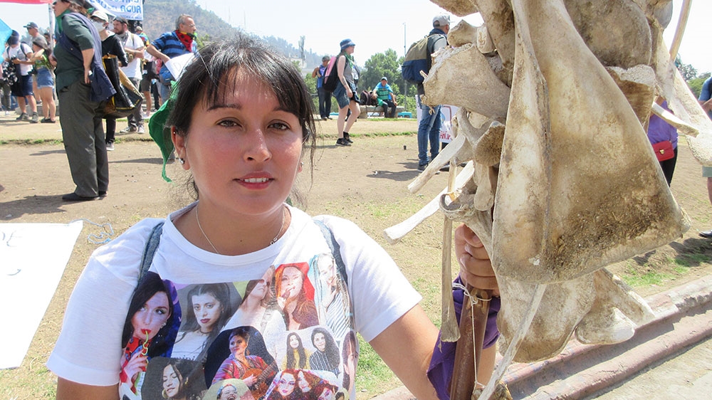 Chile alternative COP