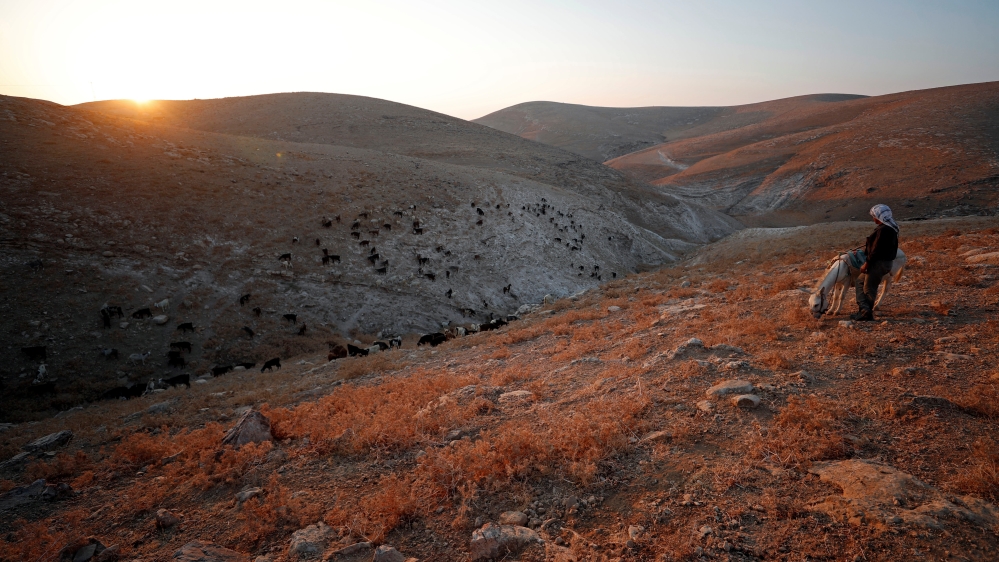 Palestinian man stands next to his donkey as he herds animals in Jordan Valley in the Israeli-occupied West Bank