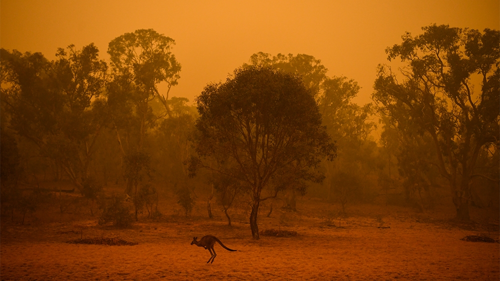 Australia fires