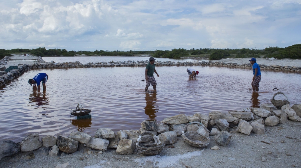 Mexican Workers collect