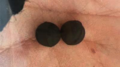 Pellets used by Chile’s national police