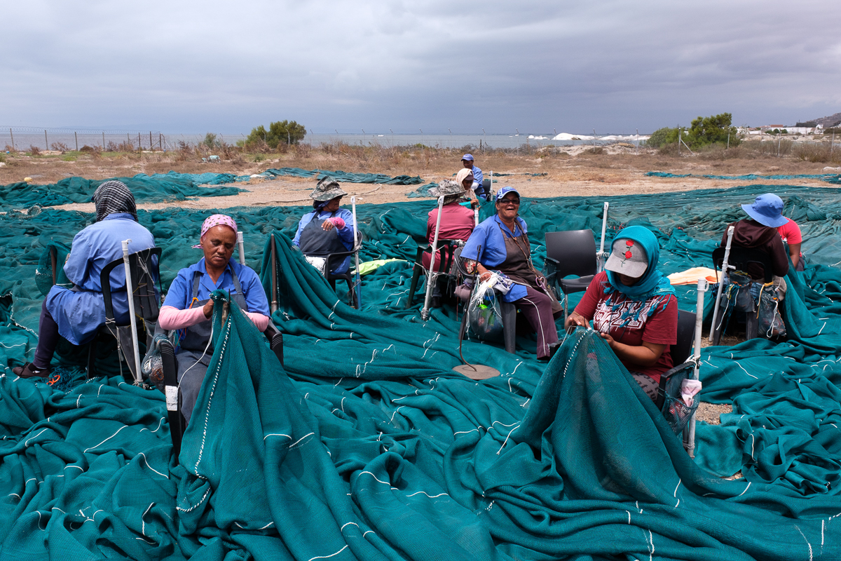 22 January 2020:Women from Steenberg’s Cove and nearby towns fix trawling nets at Alnet, in the Sandy Point Harbour, a few kilometres from Steenberg’s Cove. The net fixing season usually lasts for thr