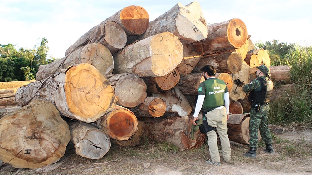Indigenous in Brazil 