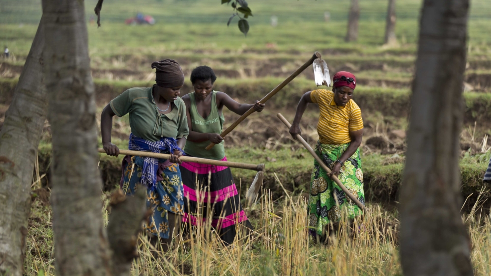Rwanda farming