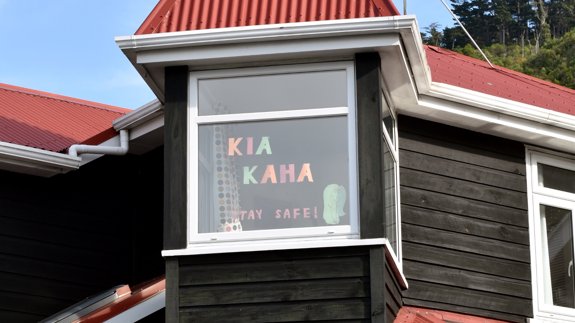 Ethan Donnell - coronavirus New Zealand