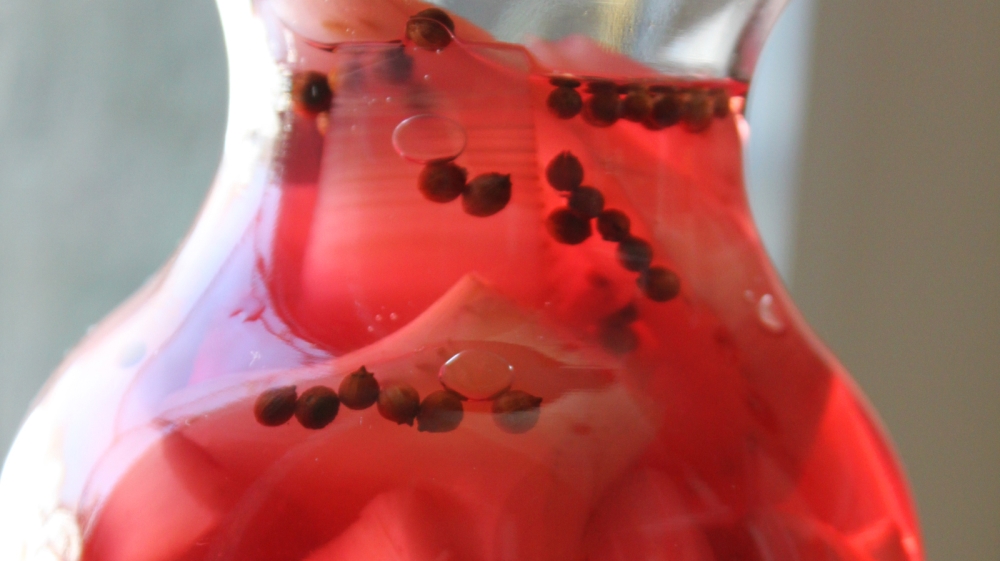 Medieval Arabic Cookbooks /  Marcia Lynx Qualey